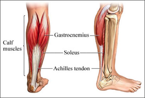 Article content image