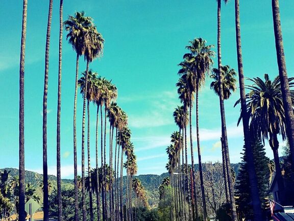 Stability vs Mobility, that is the question